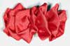 Hair Bows - B20179p - 1 Dozen - Click Image to Close